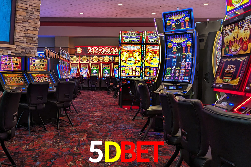 5Dbet: A Experiência de Casino com Jogos de Mesa ao Vivo